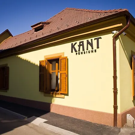 Pensiunea Kant 4*