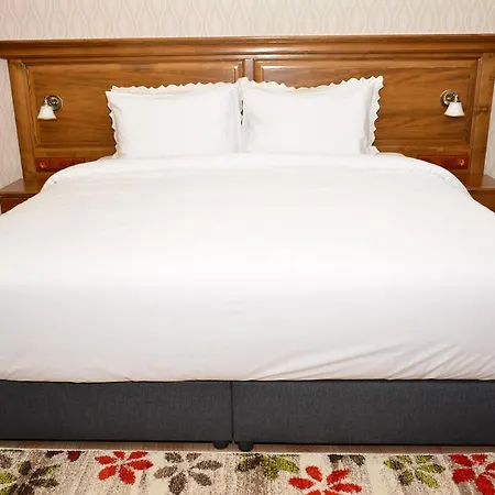 Guest house Pensiunea Kant